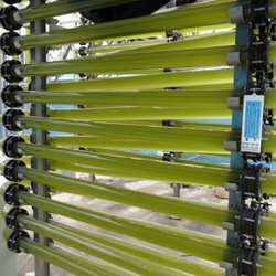 Algae photobioretor