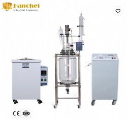 Laboratory or chemical glass reactor